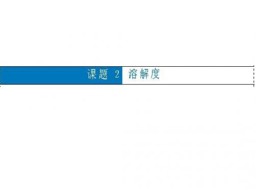 溶解度PPT课件26 人教版