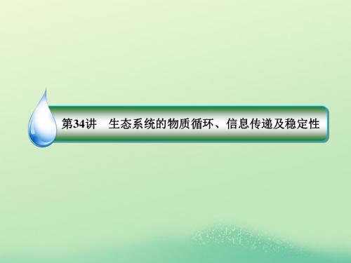 2019年高考生物一轮复习1_3_9_34生态系统的物质循环、信息传递及稳定性课件