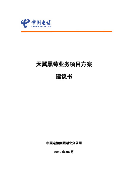 中国电信天翼黑莓业务解决方案