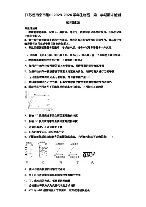 江苏省南京市附中2023-2024学年生物高一第一学期期末检测模拟试题含解析