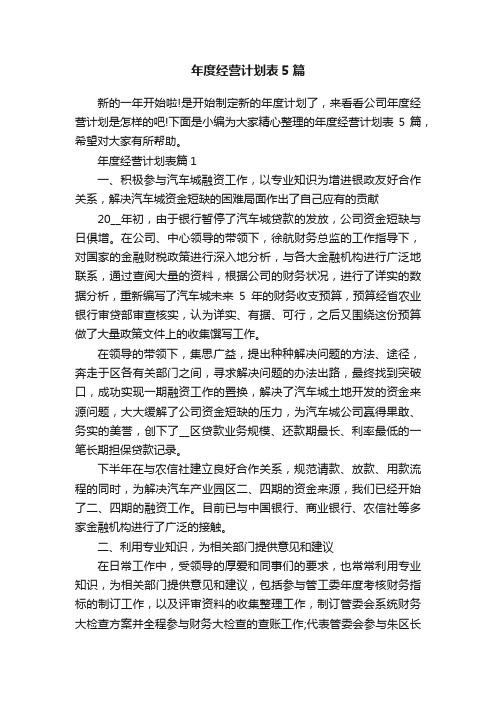 年度经营计划表5篇