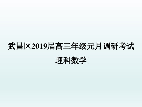 13.武昌区2019届高三年级元月调研考试 理科数学