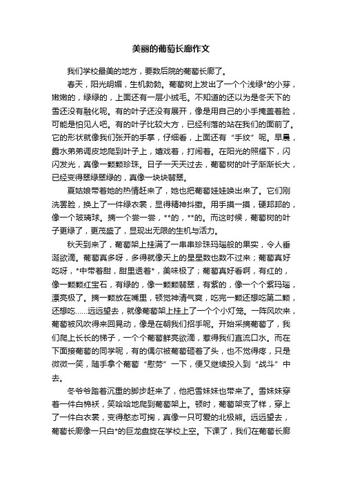 美丽的葡萄长廊作文