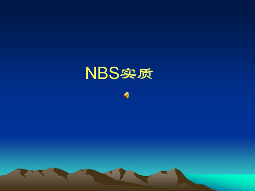 NBS实质解读