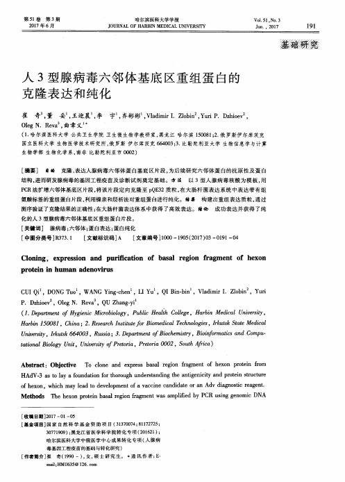 人3型腺病毒六邻体基底区重组蛋白的克隆表达和纯化