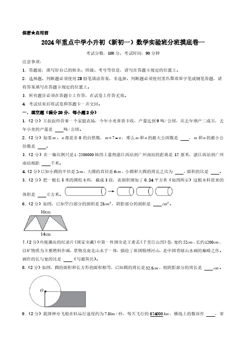 2024年重点中学小升初(新初一)数学实验班分班摸底卷一(考试版)