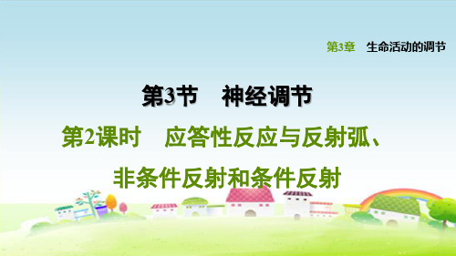 新浙教版八上科学 3.3.2 应答性反应与反射弧、非条件反射和条件反射【习题课件】