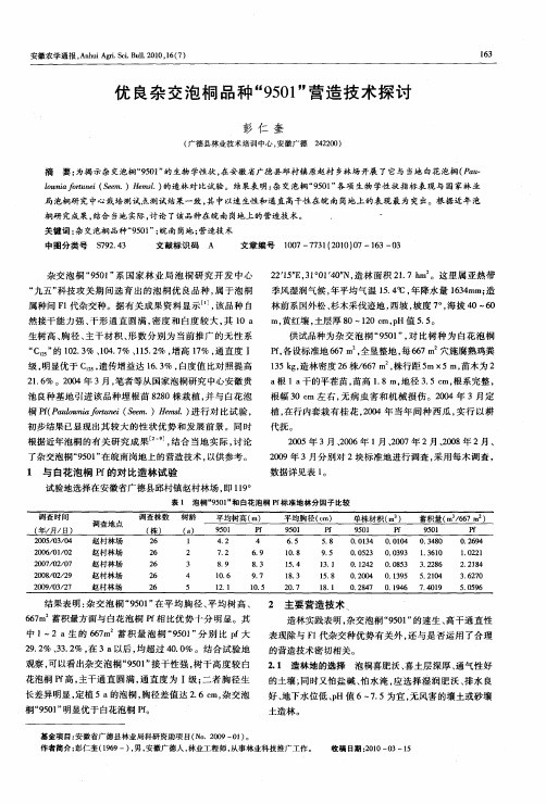 优良杂交泡桐品种“9501”营造技术探讨