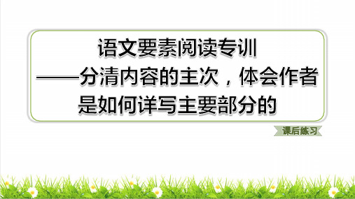 部编版六年级语文下册第一单元语文要素阅读专训——分清内容的主次,体会作者是如何详写主要部分练习课件