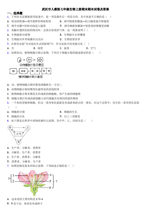 武汉市人教版七年级生物上册期末期末试卷及答案