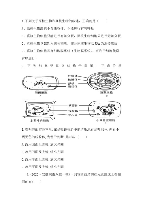 生物第八周课堂习题