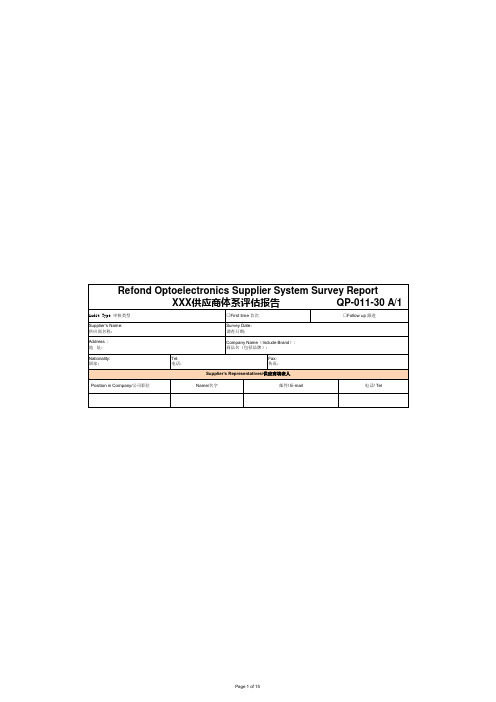 供应商体系评估报告(QSA) (2)