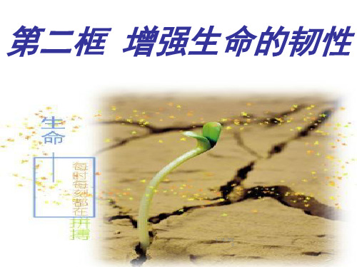 七年级《道德与法治》上册 第九课 珍视生命,增强生命的韧性 PPT课件