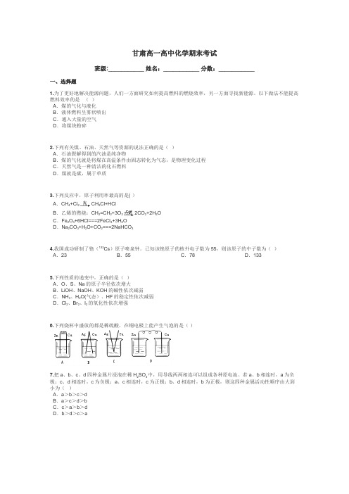 甘肃高一高中化学期末考试带答案解析
