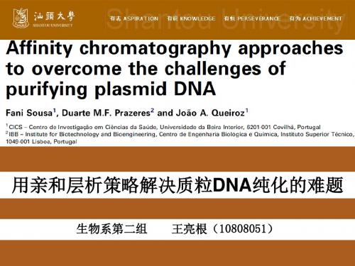 用亲和层析策略解决质粒DNA纯化的难题王亮根