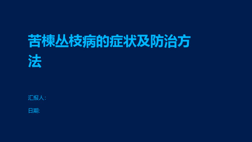 苦楝丛枝病的症状及防治方法