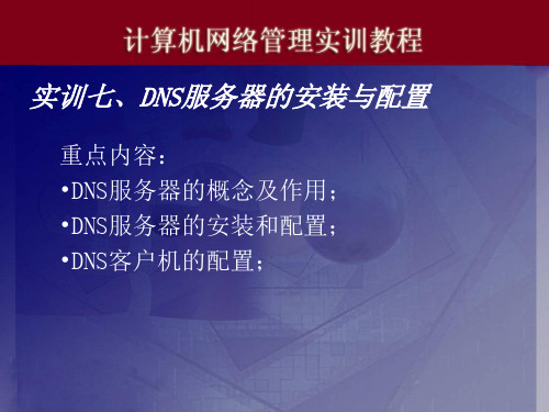 实训七、DNS服务器的安装与配置