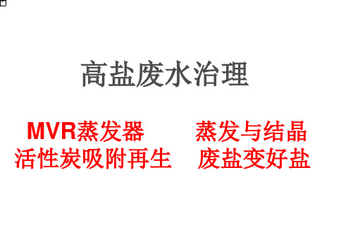 高盐废水治理-mvr蒸发器 PPT精品课件