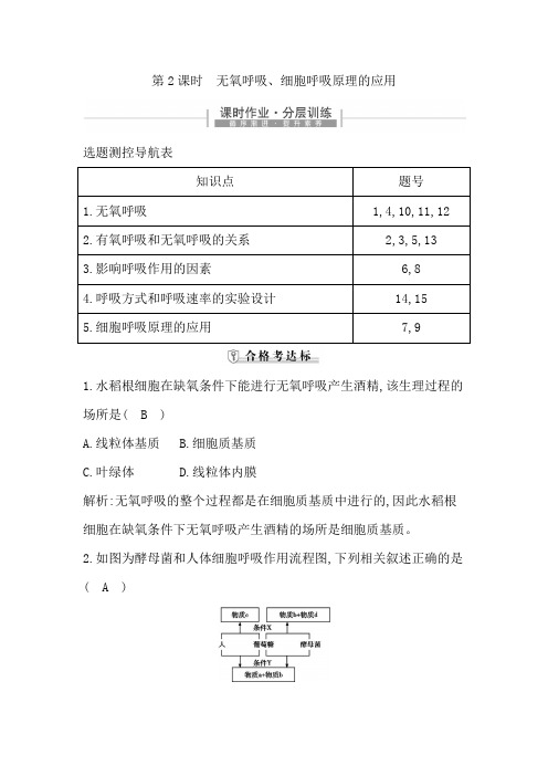 高中生物人教版(2019)必修1分层训练：细胞呼吸的原理和应用—无氧呼吸、细胞呼吸原理的应用