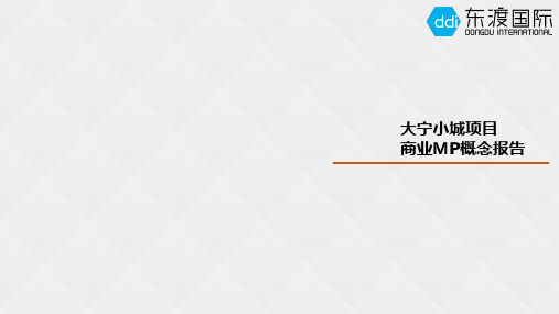 上海大宁小城MD定位报告