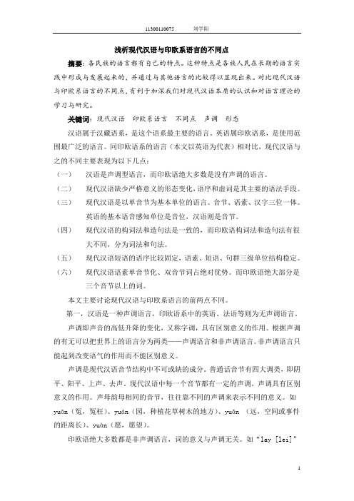 浅析现代汉语与其他语言的不同点