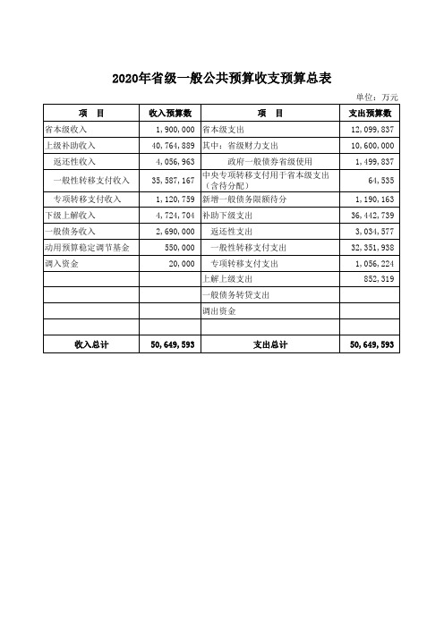 2020年省级项目预算表