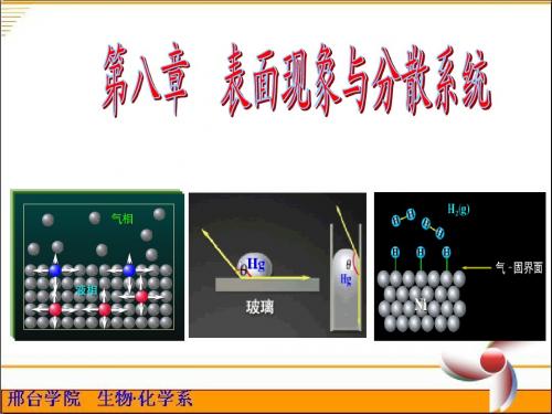 第八章  表面现象与分散系统