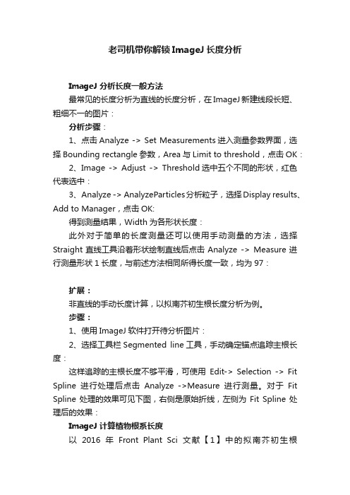 老司机带你解锁ImageJ长度分析