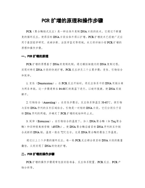 PCR扩增的原理和操作步骤