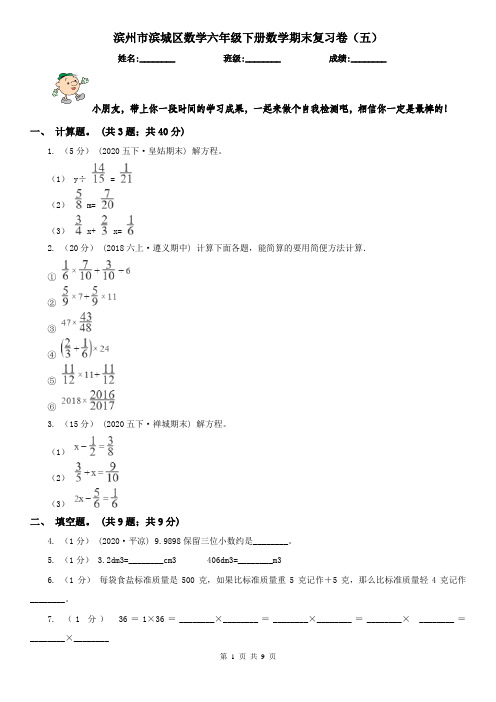 滨州市滨城区数学六年级下册数学期末复习卷(五)