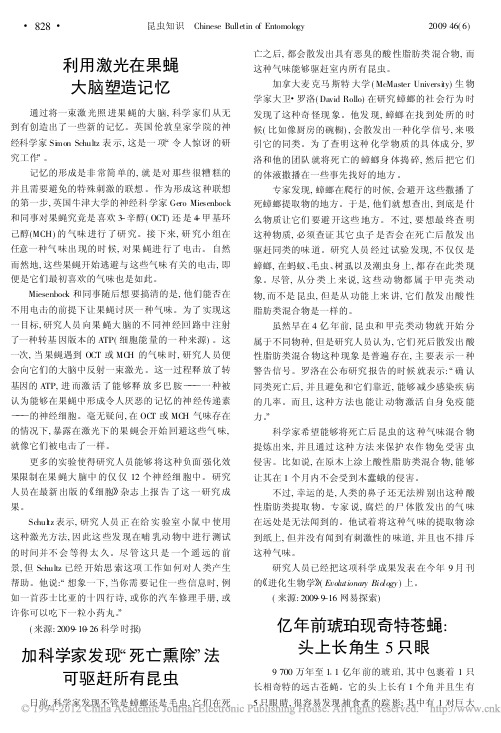 亿年前琥珀现奇特苍蝇_头上长角生5只眼