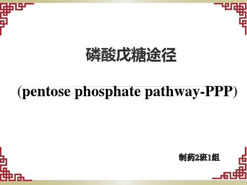 磷酸戊糖途径