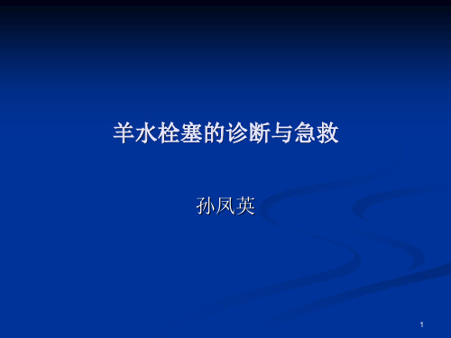 羊水栓塞的诊断与急救参考PPT