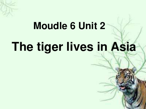 《The tiger lives in Asia》PPT精选教学课件5