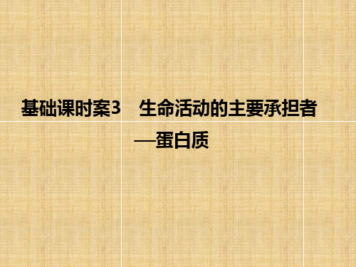 高考生物一轮复习 第1单元 基础课时案3 生命活动的主要承担者-蛋白质名师课件 新人教版必修1