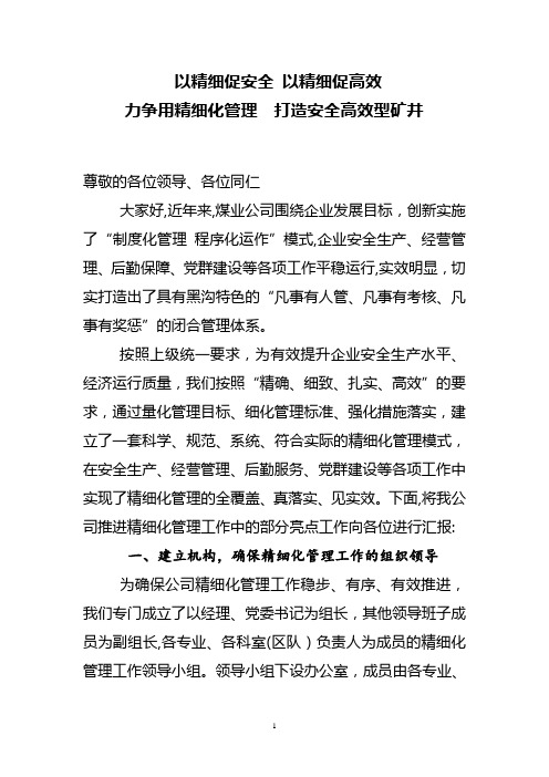 煤矿精细化管理发言材料(以精细促安全-以精细促高效)