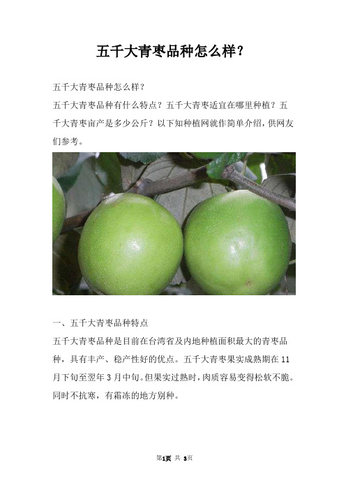 五千大青枣品种怎么样？