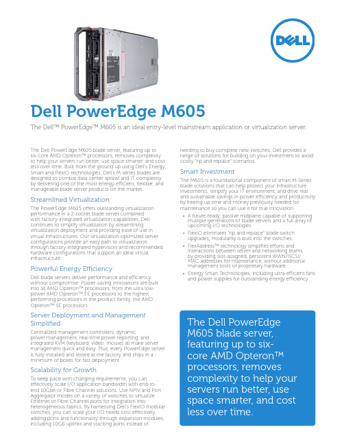 戴尔 PowerEdge M605 刀片服务器说明书