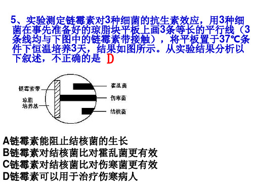 2.3分解纤维素的微生物的分离的拓展