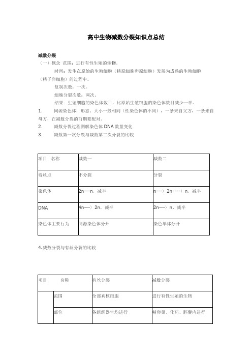 高中生物减数分裂知识点汇总分享