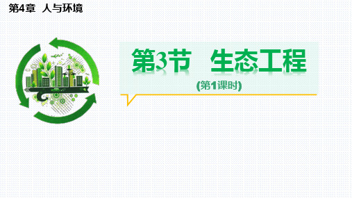 [课件]生态工程课件2022-2023学年高二上学期生物人教版选择性必修2