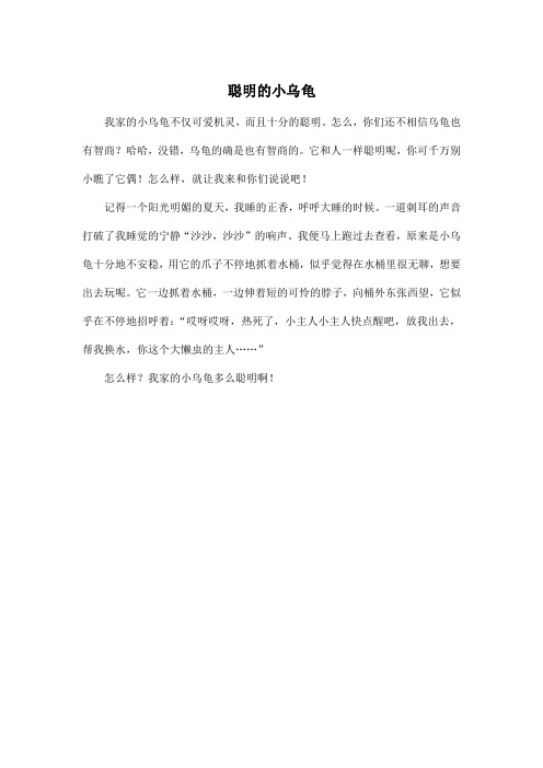 聪明的小乌龟_小学四年级作文350字