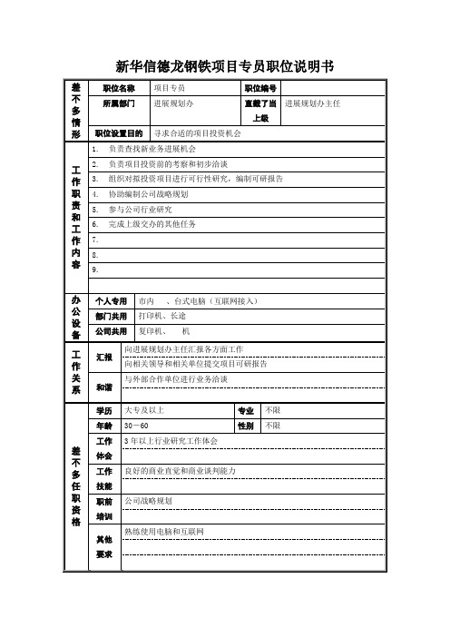 新华信德龙钢铁项目专员职位说明书
