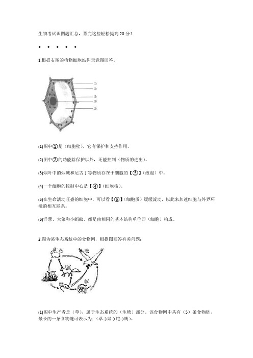 生物考试识图题汇总,背完这些轻松提高20分!