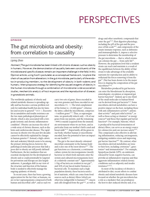 The gut microbiota and obesity from correlation to causality