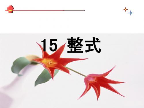 整式乘法 复习课件