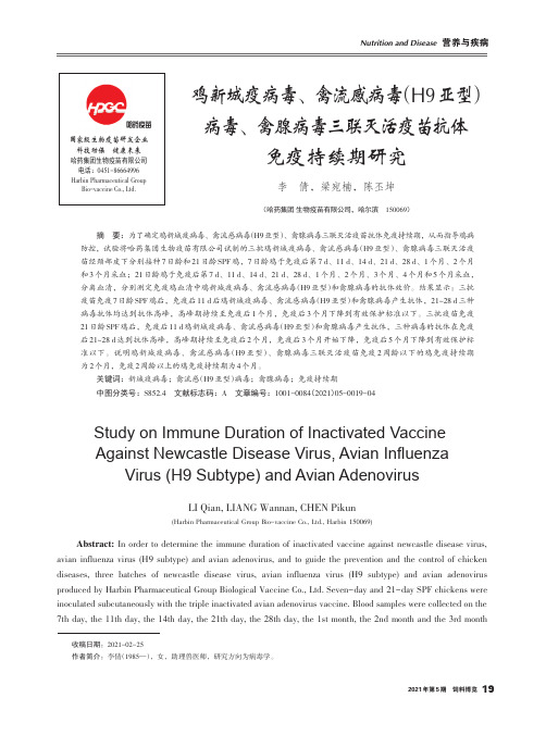 鸡新城疫病毒、禽流感病毒(H9亚型)病毒、禽腺病毒三联灭活疫苗抗体免疫持续期研究