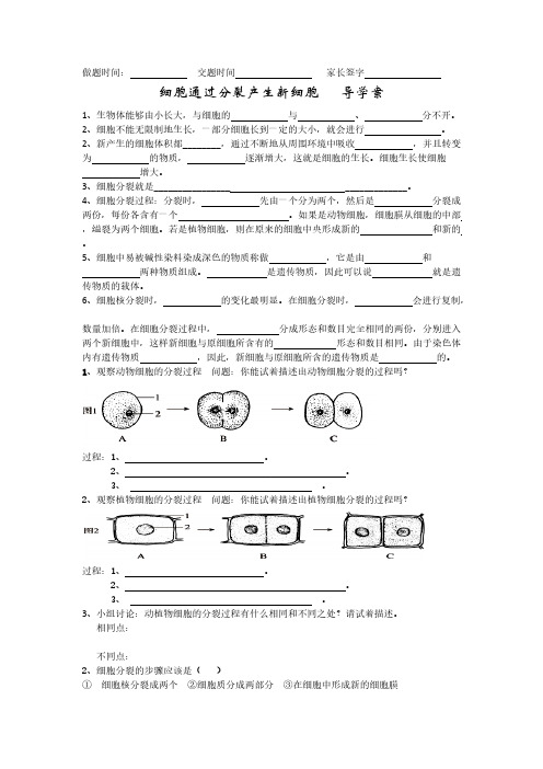 【免费下载】人教版七年级上册生物第二单元 第二章 细胞怎样构成生物体同步测试题带答案