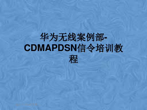 华为无线案例部-CDMAPDSN信令培训教程