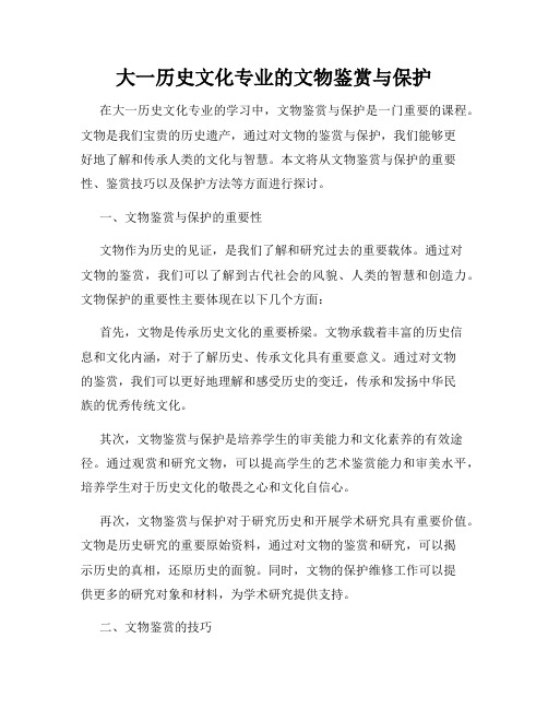 大一历史文化专业的文物鉴赏与保护